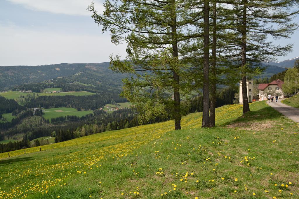 Готель Gaestepension Edeltraud Hirschegg  Екстер'єр фото